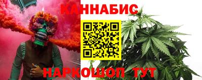 крисы Пыть-Ях