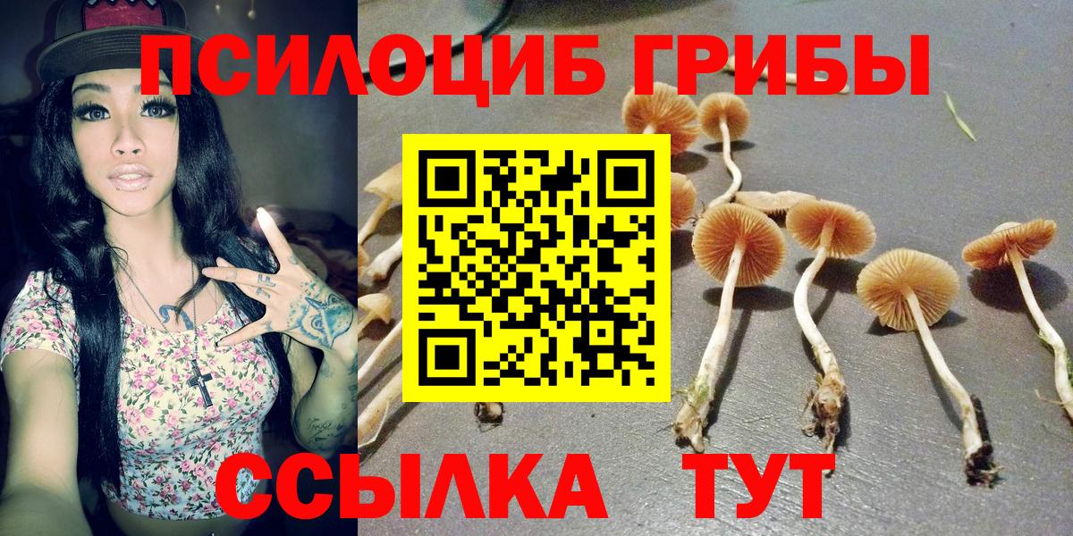ГАШИШ  Вход с VPN  НБОМе  Мефедрон кристаллы  МЕФ  Бошки Шишки  Купить  ГАШ  Моздок  Cocaine 
