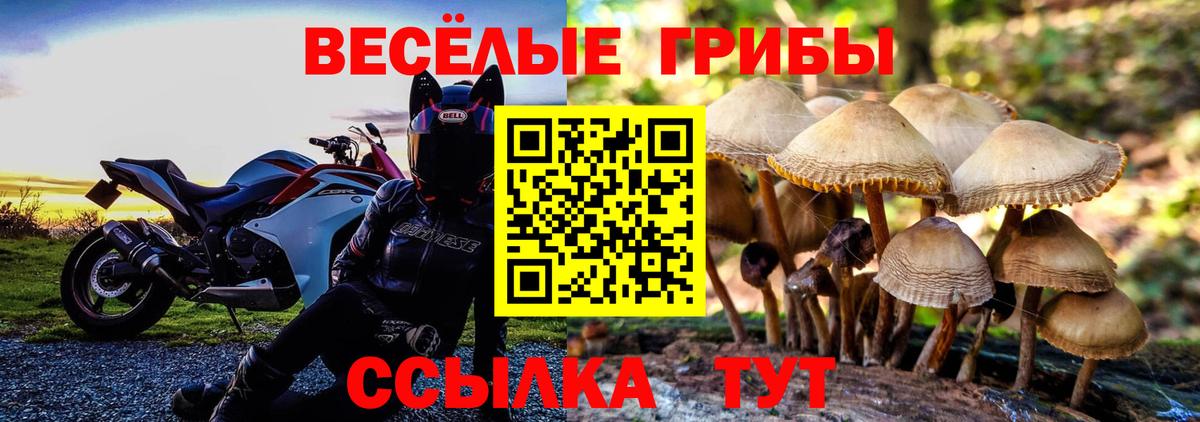 Галлюциногенные грибы GOLDEN TEACHER  Вход с VPN  Моздок 